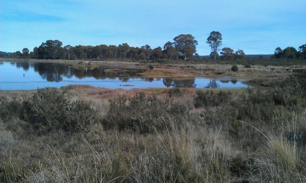 Highland Cabins And Cottages At Bronte Park Esterno foto